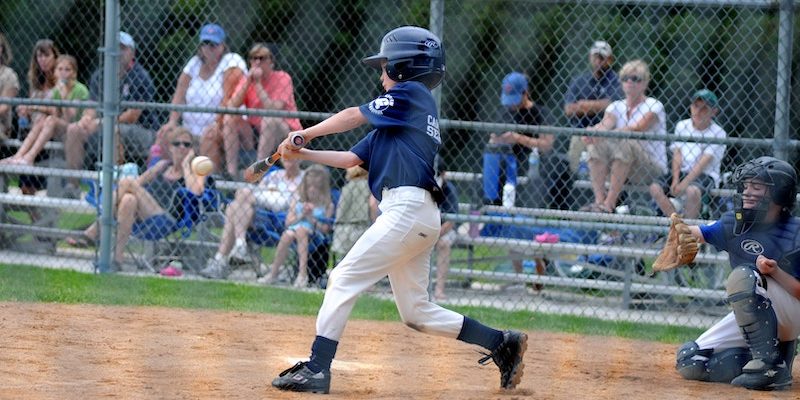 spectators little league